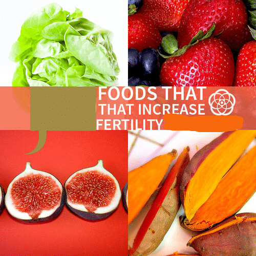 Foods to Boost Fertility