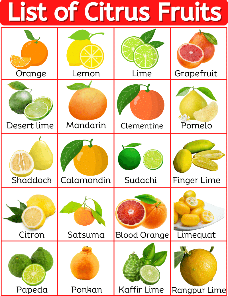 Citrus fruits