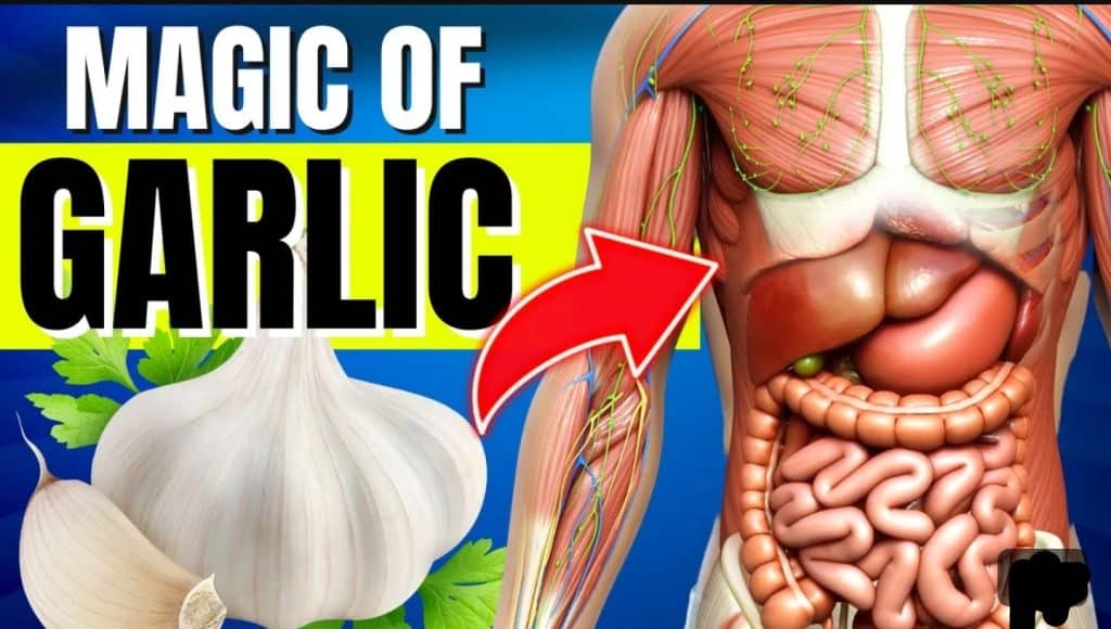 The Magic of Garlic